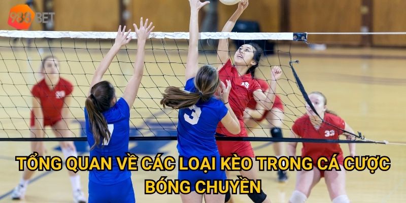 Tổng quan về các loại kèo trong cá cược bóng chuyền